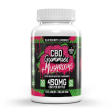 Focus CBD Gummies + Mushrooms Hemp Bombs